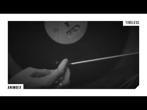 AnimoEx - Timeless