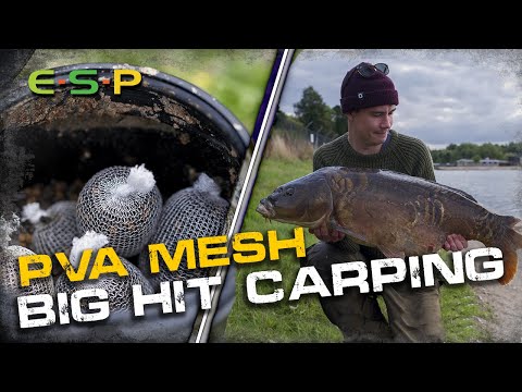 Big Carp Hit with PVA Mesh | Jack Reid | Carp Fishing