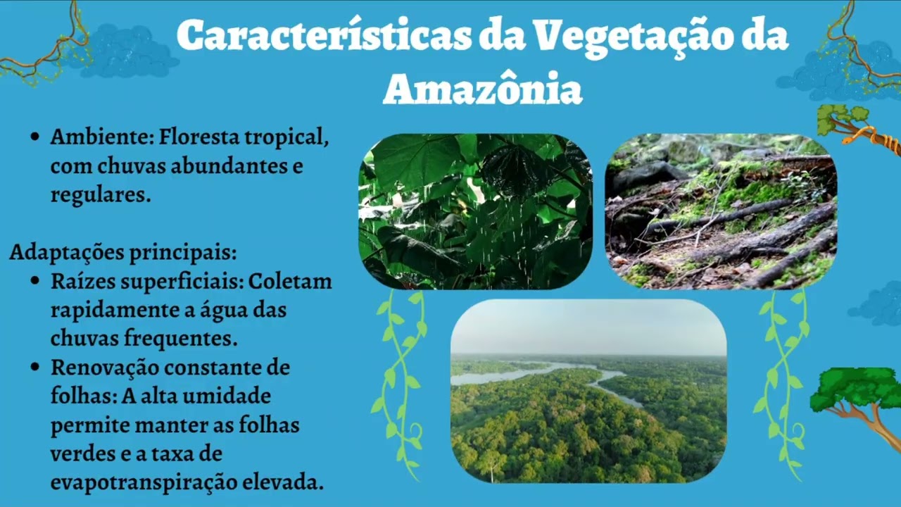 Monitoria de Revisão do Conteúdo de Hidrografia