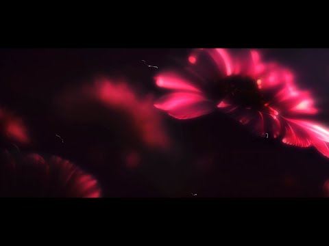 7 Productions Music Video