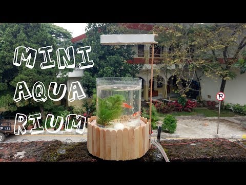 Cara bikin aquarium mini dari plastik botol