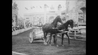 Hippodrome Races, Dreamland, Coney Island (1905) Edison