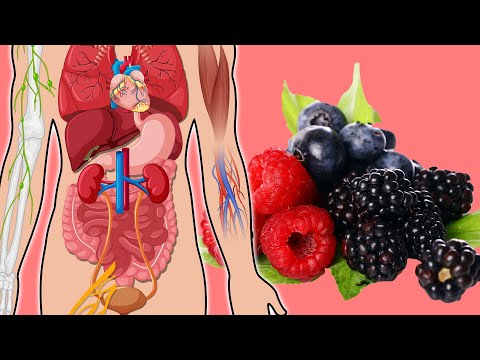 , title : '5 Amazing Benefits Of Fat Burning Berries'