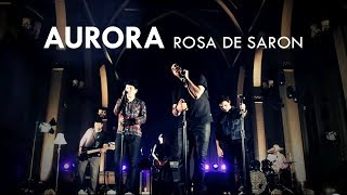 Aurora – Rosa de Saron