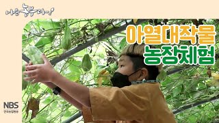 [나는농부다214회] 어린이 친구들의 아열대작물 농장체험학습