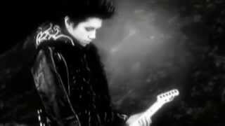 Dir en grey - embryo [PV]