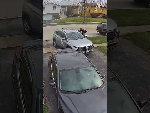 That car really tried to make a brake for it... 🤣 #afv #fail #funny