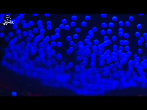 KORSAKOFF & ROYAL BASS FORCE @ COMPLEXE CAP'TAIN [26/02/2011] AFTERMOVIE