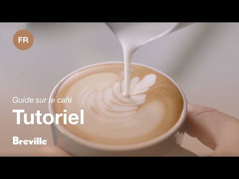 miniature vidéo