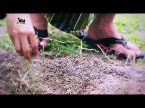 LAGU IBU ADI BUGAK.. DI AMBIL DARI KISAH NYATA .