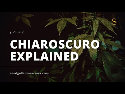 Chiaroscuro Explained: The Art of Light and Shadow | Seed Gallery #glossary #art #artist #education