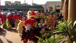 preview picture of video '2012 Lunar New Year - Lion dance ceremony - 9326 Bellaire Blvd., Houston TX 77036'