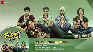Fukrey returns song tumera tumera bhai nahi hai