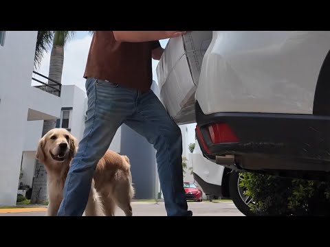 Flushing the toilet with Felipe