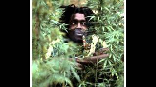 Peter Tosh Coming in Hot