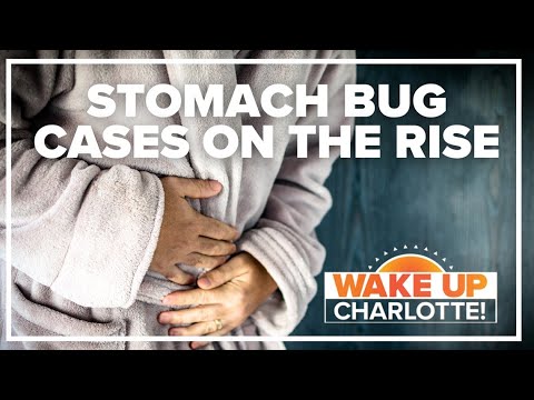 CDC issues warning over rise in drug-resistant stomach bug