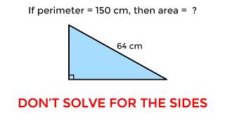 Right Triangle Area Puzzle