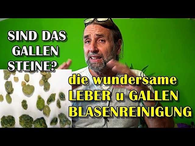 הגיית וידאו של Unsinn בשנת גרמנית