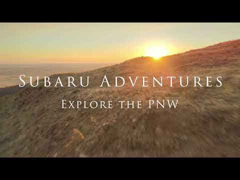 Subaru Adventures