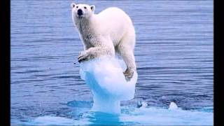 ZAZ-Tous les cris SOS lyrics