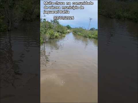 🇧🇷 Muita chuva  na  comunidade de  Várzea  município de Jaguarari Bahia, 03/03/2026 #nordest #chuvas