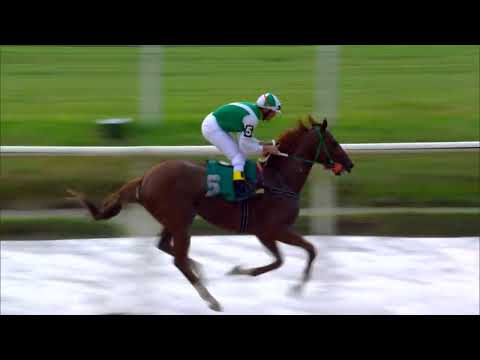 220115 c01 LATIN KING