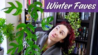 10 Plants That Impressed Me All Winter Long