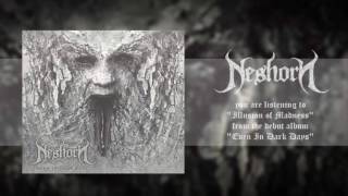 Neshorn - Illusion of Madness (Official Audio)