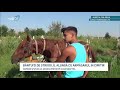 BANTUITI DE STRIGOI IL ALUNGA CU ARMASARUL IN CIMITIR YOUTUBE