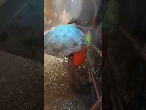 直擊 - Welcome to 水上樂園巴士站 🤽