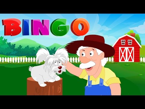 Bingo, O Cachorro | desenho animado | desenho infantil | Vídeo para crianças | Bingo The Dog