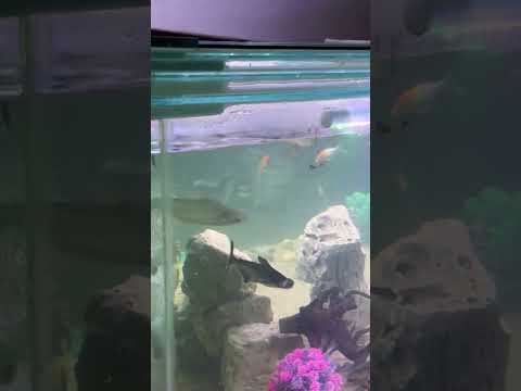 Ish traha ki video dekhne ke liye my YouTube Chanel subscribe kare🙏🏻