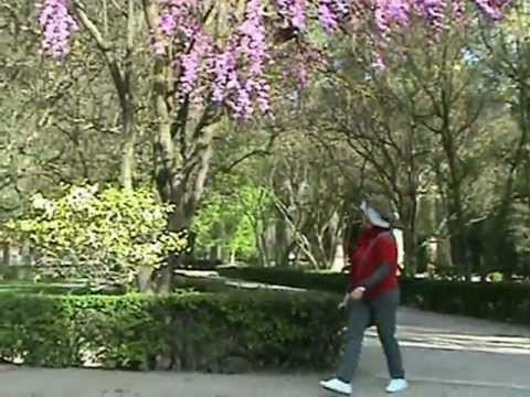 CASA DEL LABRADOR (Aranjuez)