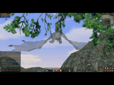 L2Feel Gallery 01