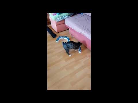 ❤️ Happy ist happy ❤️ (14.07.2020)