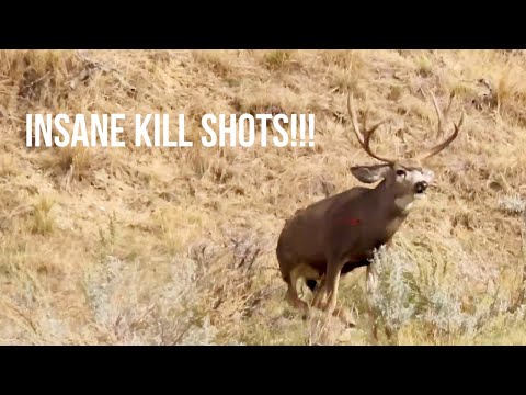 TOP 35 BEST HUNTING KILL SHOTS!! | BOW AND RIFLE!