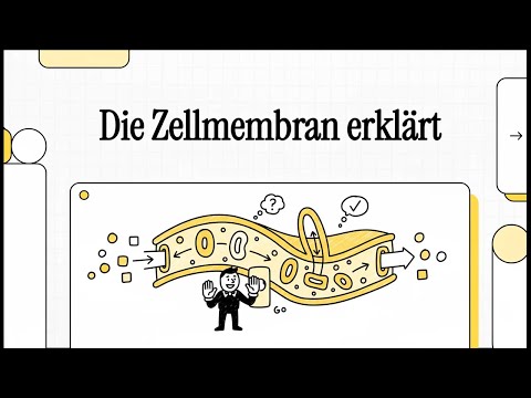 Was ist die Zellmembran | EINFACH ERKLÄRT