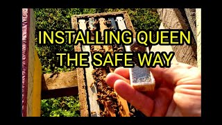 Safest Way To Install Queen Bee