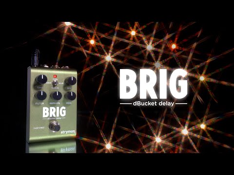 Strymon Brig dBucket Analog Delay Pedal image 6