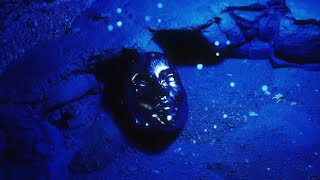 Download lagu Bebi, Dylan Matthew & Dead Robot - Artificial mp3 Download lagu Bebi, Dylan Matthew & Dead Robot - Artificial mp3