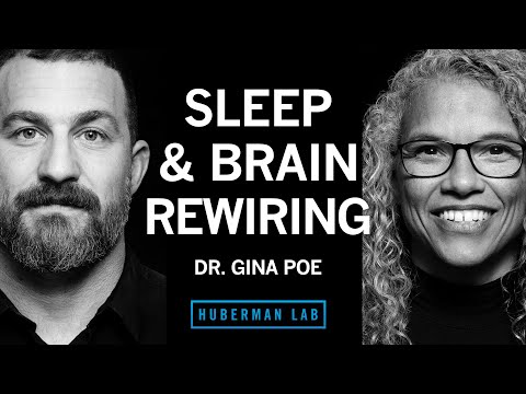 Use Sleep to Enhance Learning, Memory & Emotional State | Dr. Gina Poe