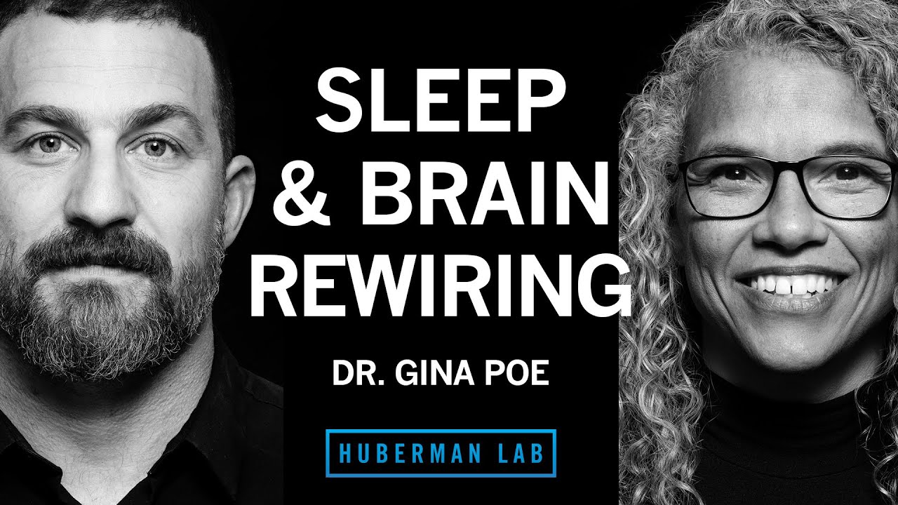 Dr. Gina Poe: Use Sleep to Enhance Learning, Memory & Emotional State | Huberman Lab Podcast