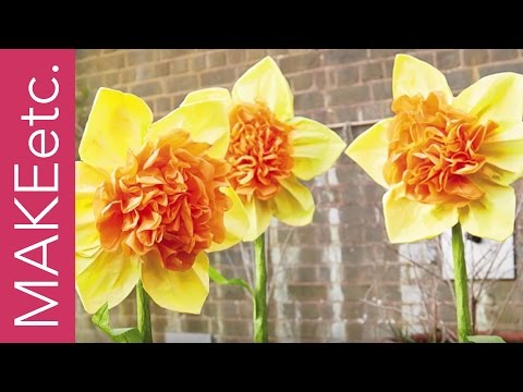 How to make a Tissue Paper Daffodil with Juliet Carr