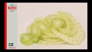 Fennel: Slicer 1 mm