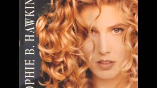 Sophie B. Hawkins - Only Love (Radio Edit)