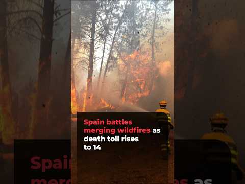 Spain battles merging wildfires as death toll rises to 14 | #ajshorts