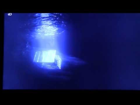 megalodon Shark Caught On Camera Squalo megalodonte -real -  Carcharodon