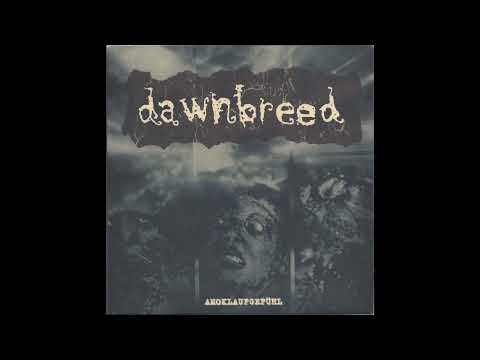 Dawnbreed - Amoklaufgefühl 1995