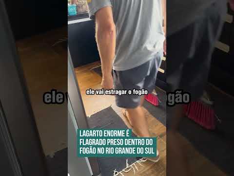 Lagarto enorme é flagrado preso dentro do fogão no Rio Grande do Sul! 😮🦎