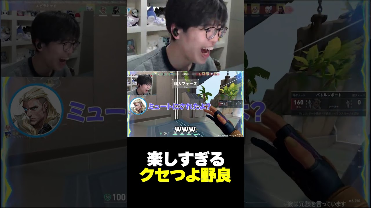 今のヴァロにはこういうタイプの野良が足りてない